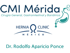 https://doctoresmerida.mx/medico-especialista/dr-rodolfo-aparicio-ponce