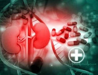 Atención a hematuria (sangre en la orina), infecciones del tracto urinario, daño renal por medicamentos, insuficiencia renal y más