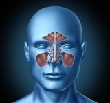 La sinusitis consiste en la inflamación de los senos paranasales y es causada por la proliferación de bacterias. Si presentas dolor a causa de esta infección respiratoria, ven con el especialista en otorrinolaringología. 